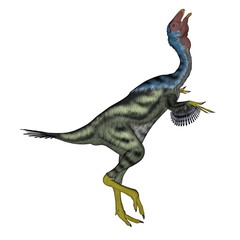 Caudipteryx dinosaur head up- 3D render