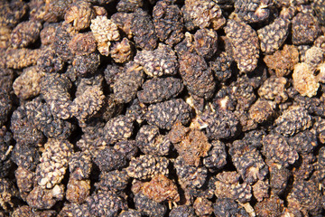 Dried mulberry collection,Chinese traditional food
