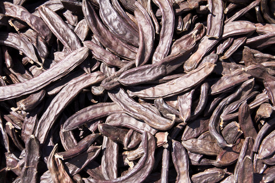 many carob dried Brown for sale to the fruit market