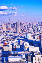 Obraz premium 東京の風景