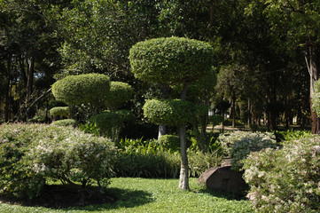 Parklandschaft in S&uuml;dostasien