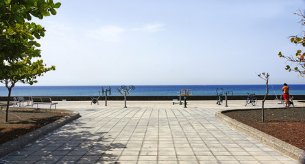 Fototapeta premium Parque de las Islas Canarias con mar al fondo, Arrecife