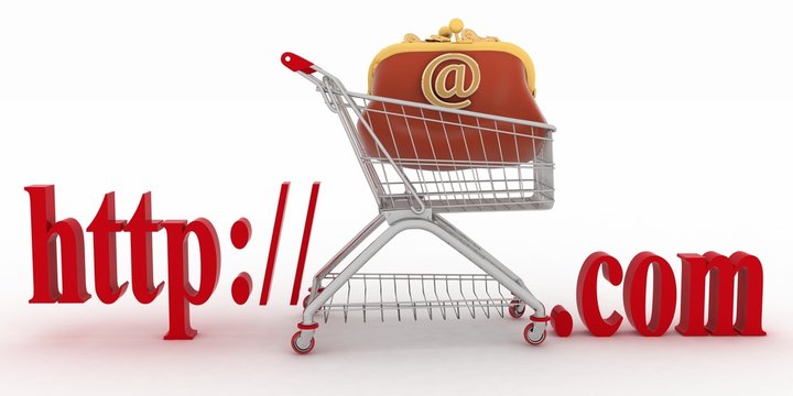 Concept of shopping on web sites of commercial