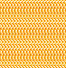 honeycomb or bee honey comb seamless texture