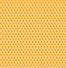 honeycomb or bee honey comb seamless texture