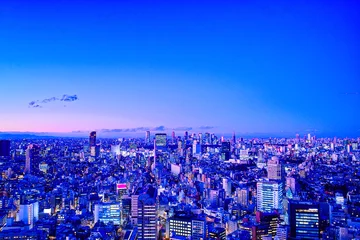 Tuinposter 東京の夕暮れ © 7maru
