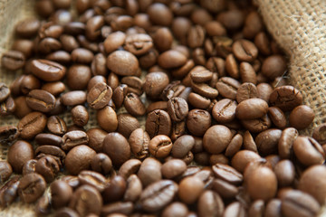 Coffee beans. Selective focus