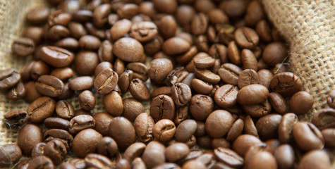 Coffee beans. Selective focus