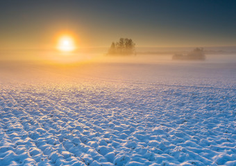 winter field at sunrise