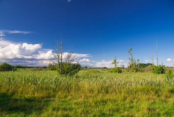 Fototapeta premium Landschaft bei Rogeez, Mecklenburg-Vorpommern