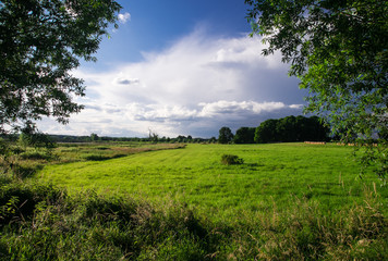 Fototapeta na wymiar Landschaft bei Rogeez, Mecklenburg-Vorpommern