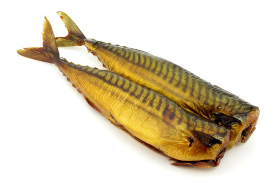 makrela