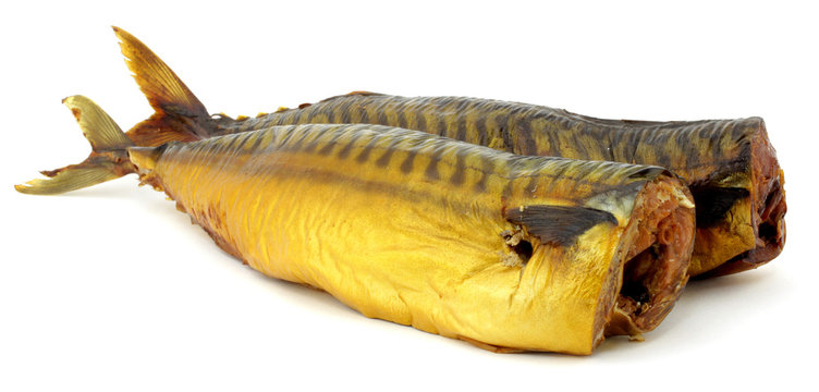 makrela
