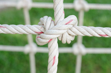 Rope hitching on public garden.