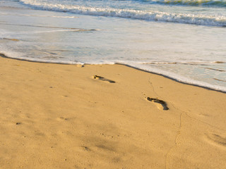 Footprints in the sand