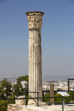 ruins of Carthage