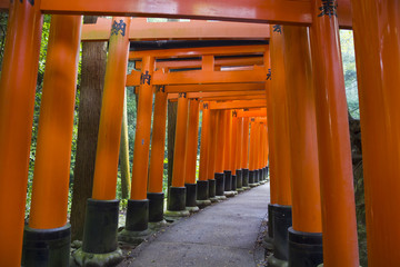 Red tories path © jordieasy