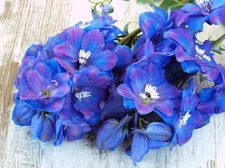 Blue Delphinium Flowers