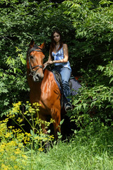 Woman riding her horse in the woods on a summer day