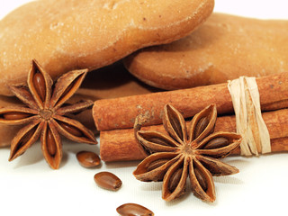 Cinnamon with anise isolated