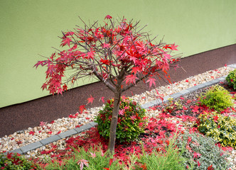 autumn colors composition in home garden