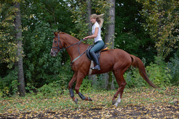 Horse and rider turning at dressage Event part