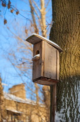 nesting box, bird house is hanging on a tree