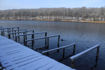 Obraz premium Winter am Schlachtensee in Berlin