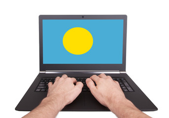 Hands working on laptop, Palau