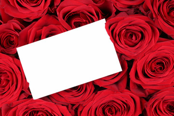 Rote Rosen zum Valentinstag oder Muttertag mit leerem Zettel mit