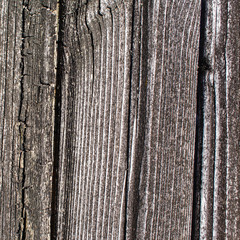 Obraz premium wood background