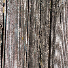 wood background