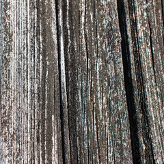 Obraz premium wood background