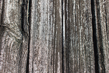 Obraz premium wood background