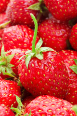 Lot of red ripe strawberries