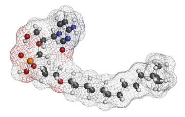 Brincidofovir antiviral drug molecule. Prodrug of cidofovir. 