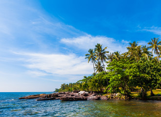 Tropical paradise.  beautiful beach