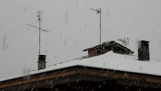 Neve
