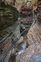 Watkins Glen Gorge