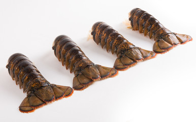 Lobster tails