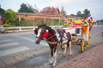 Naklejka na ściany i meble horse carriage in temple Phrathat Lampang Luang in Lampang, Thai