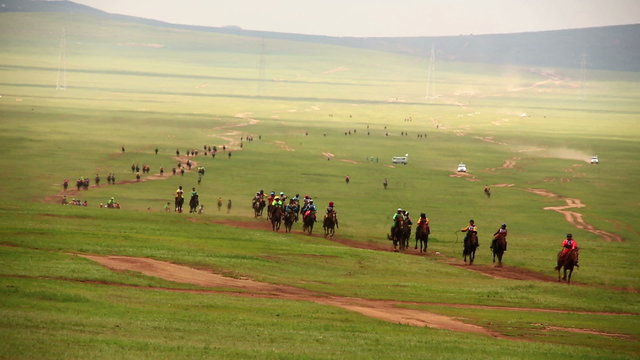 Stallion Horse Race 2013 Finals, Mongolia