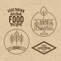 Food design, vector illustration.