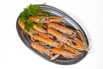 Norway lobster on white background