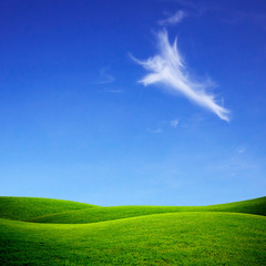 Green grass and blue sky