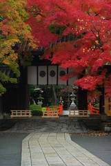 今宮神社の紅葉