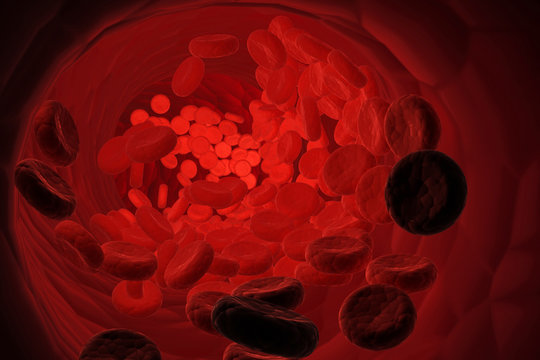 3d render of human blood cells