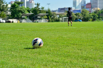 Soccer field