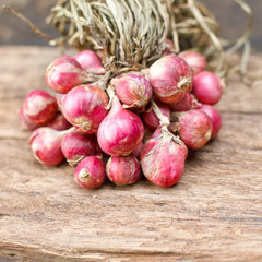 Shallot onions group 