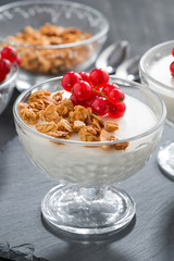 creamy panna cotta with homemade granola and fresh red currants